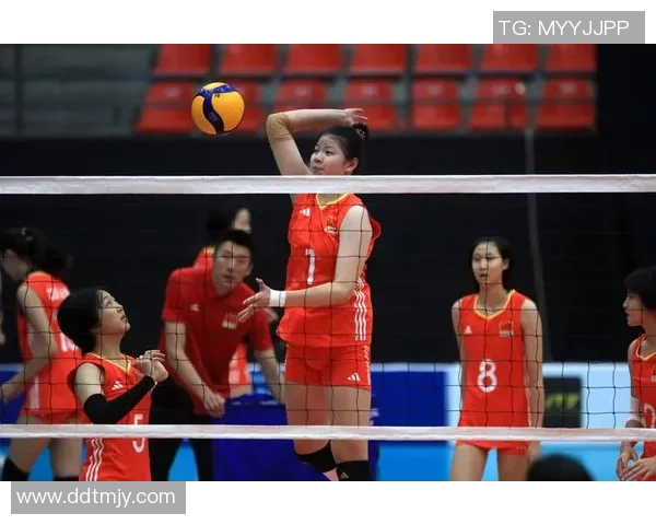 上海排球队的崛起与力量探讨聚焦排球运动的未来发展与挑战