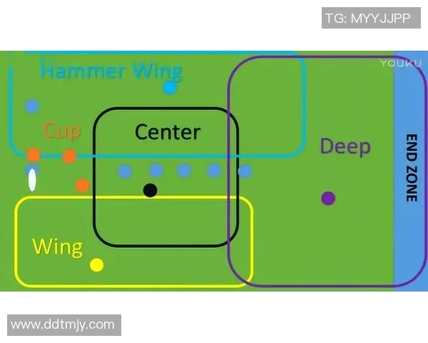 南京飞盘队中路突破分析与战术得失探讨 南京飞盘队中路突破分析与战术得失探讨